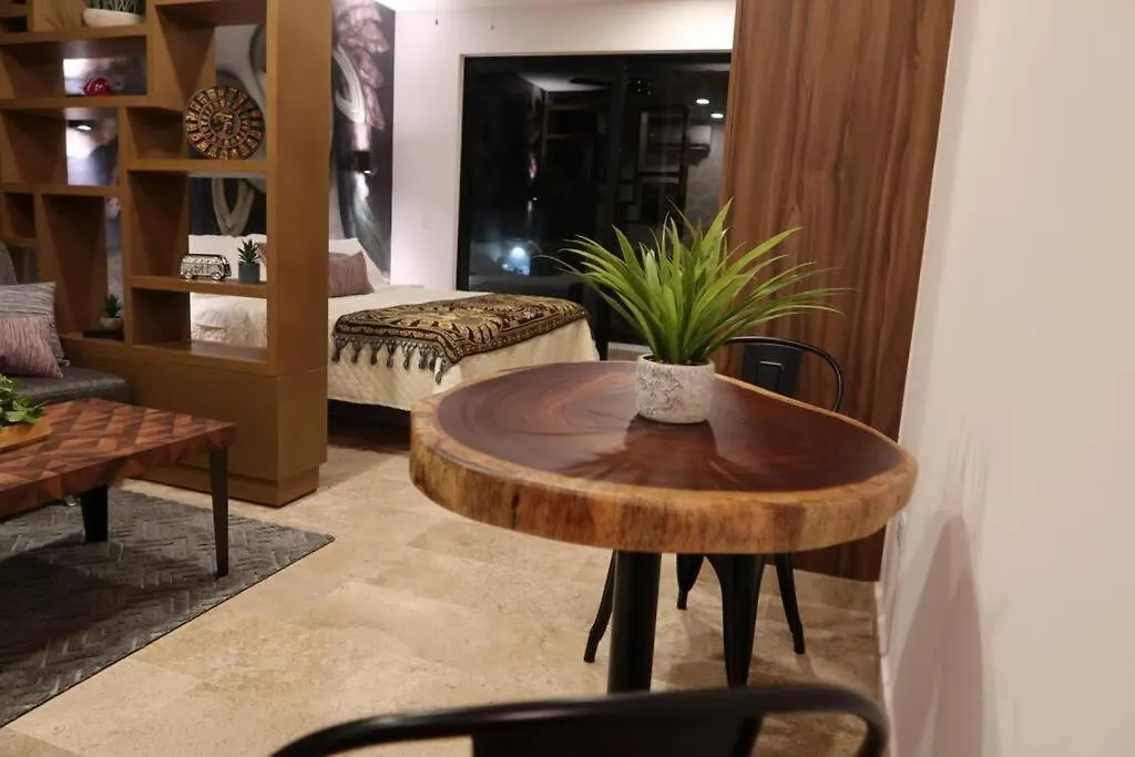 プレヤデルカーメンPerfect Locationアパートメント メキシコ